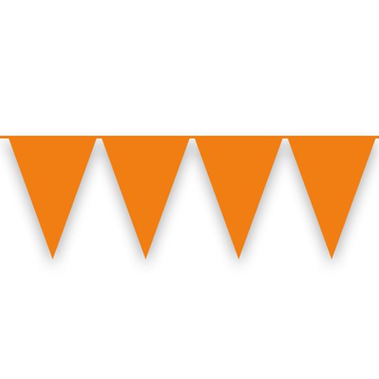 Oranje vlaggenlijn 10 meter per 12